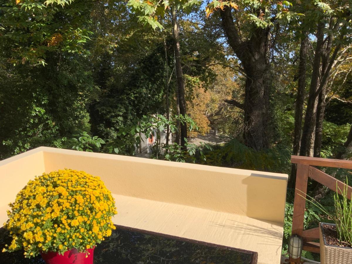 Pelion 7 Lives Villa Tsagarada Bagian luar foto