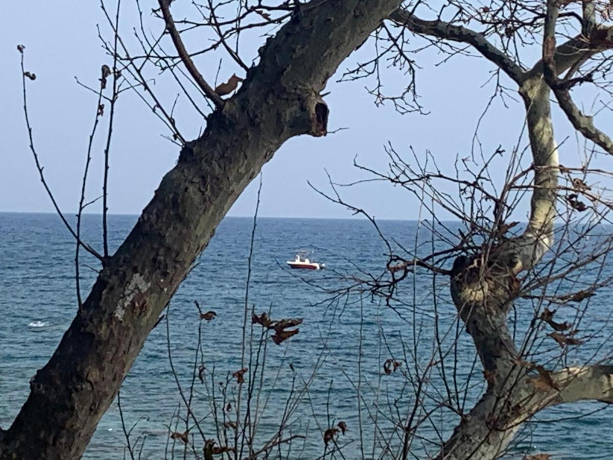 Pelion 7 Lives Villa Tsagarada Bagian luar foto